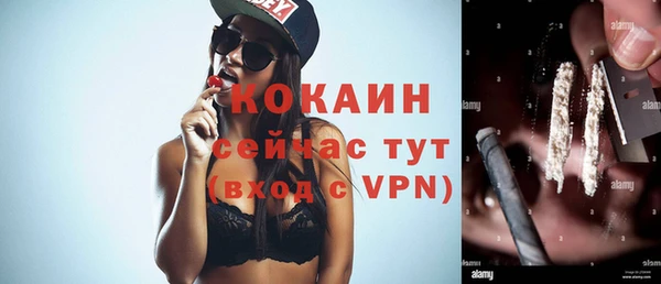 дживик Алексин