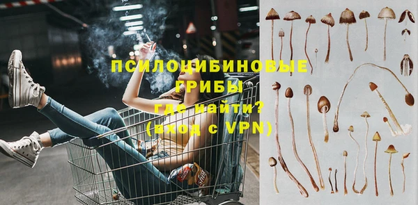 PSILOCYBIN Горняк