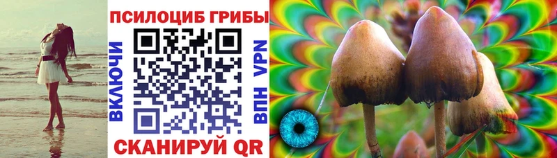 Псилоцибиновые грибы Psilocybine cubensis Геленджик